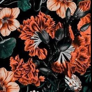 Meet your Posher, Malaina